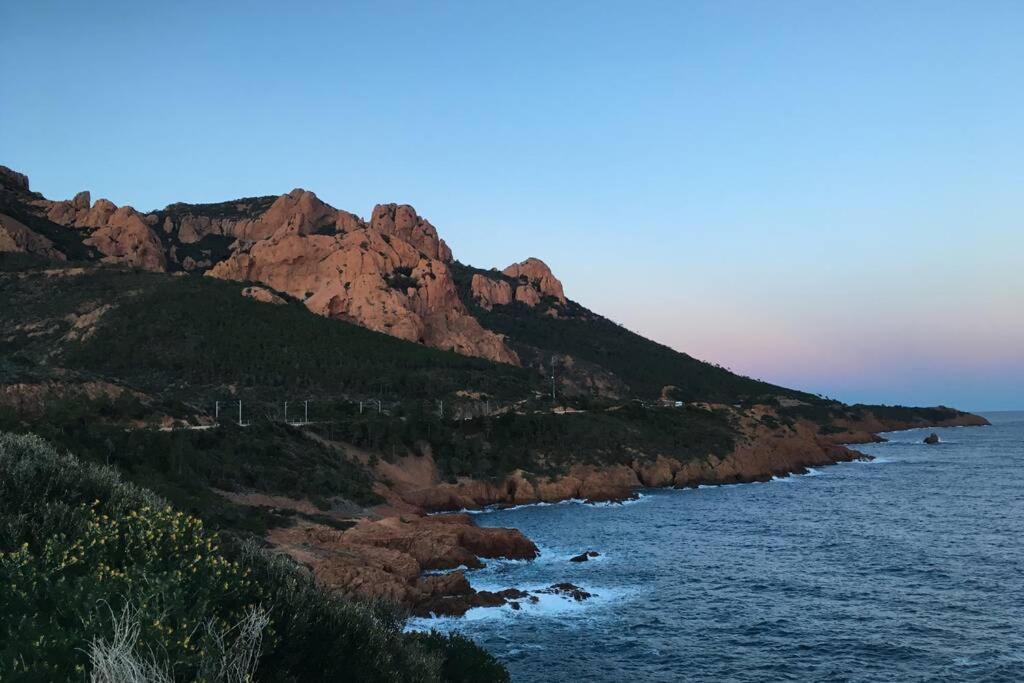 "Les Alizes" Cote Piscine Proche Bord De Mer Saint-Raphaël Eksteriør bilde