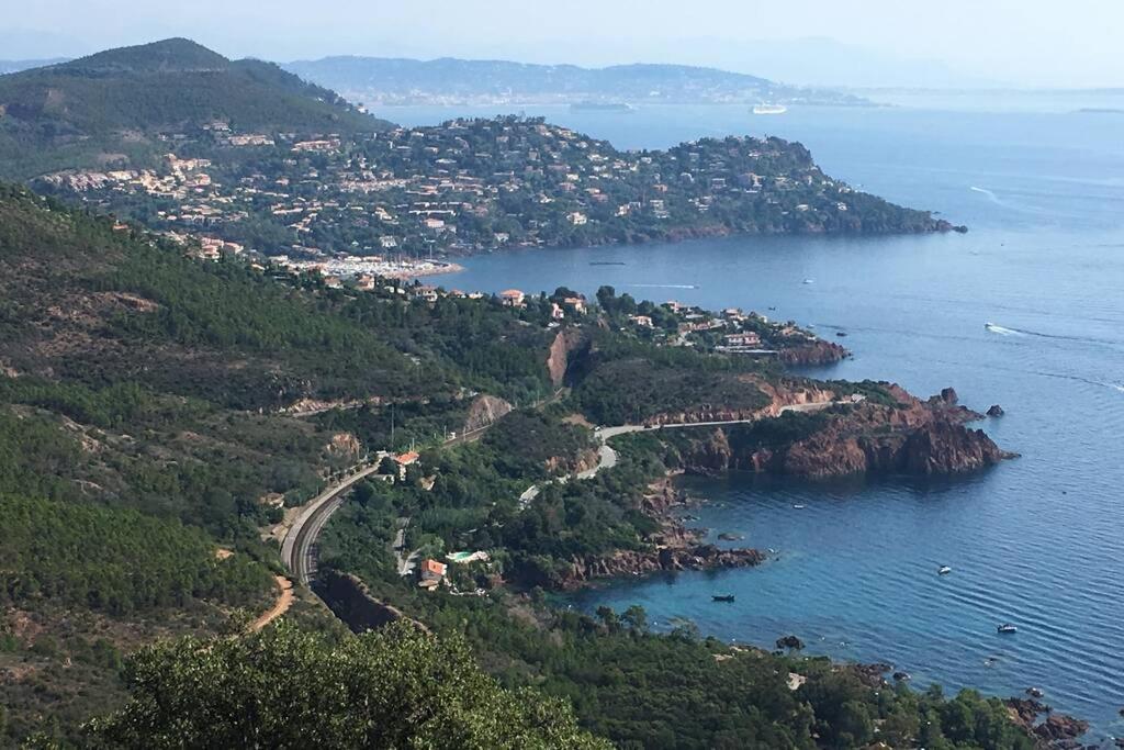 "Les Alizes" Cote Piscine Proche Bord De Mer Saint-Raphaël Eksteriør bilde