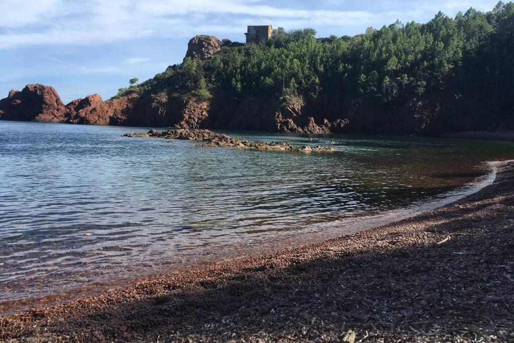 "Les Alizes" Cote Piscine Proche Bord De Mer Saint-Raphaël Eksteriør bilde
