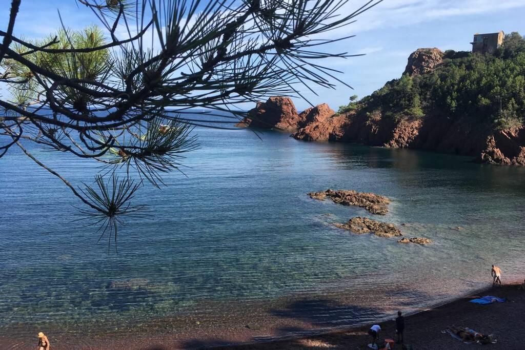 "Les Alizes" Cote Piscine Proche Bord De Mer Saint-Raphaël Eksteriør bilde