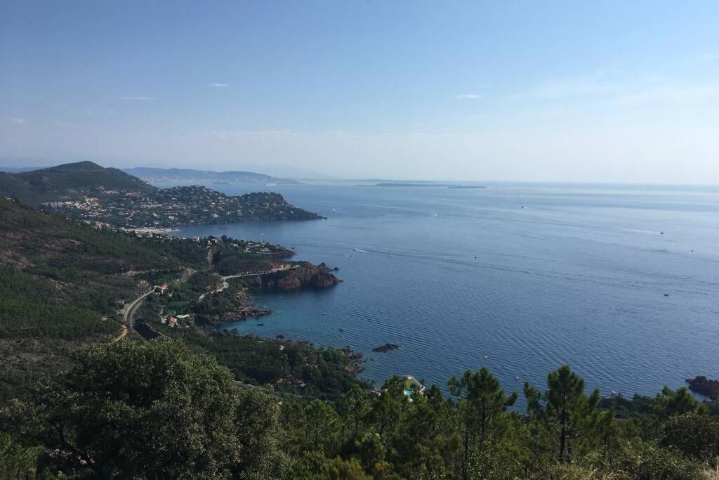 "Les Alizes" Cote Piscine Proche Bord De Mer Saint-Raphaël Eksteriør bilde
